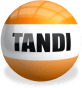 TANDI Logo with shadow